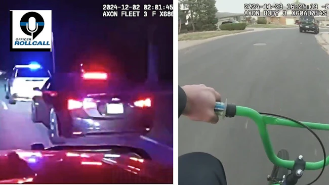 67534bd227fd69b492ba38a8 The Lineup Creative Rescues