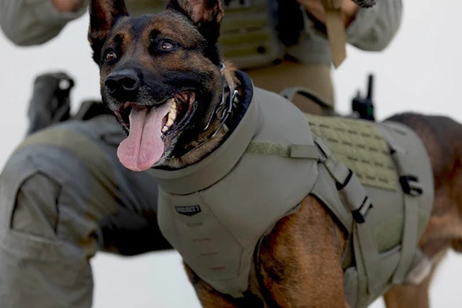 P7K9 Vest