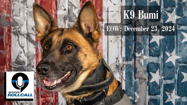 Richland County, FL, Sheriff's K-9 Bumi.