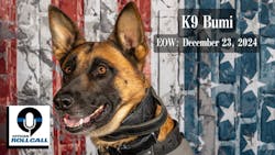 Richland County, FL, Sheriff's K-9 Bumi. Richland County, FL, Sheriff's K-9 Bumi.