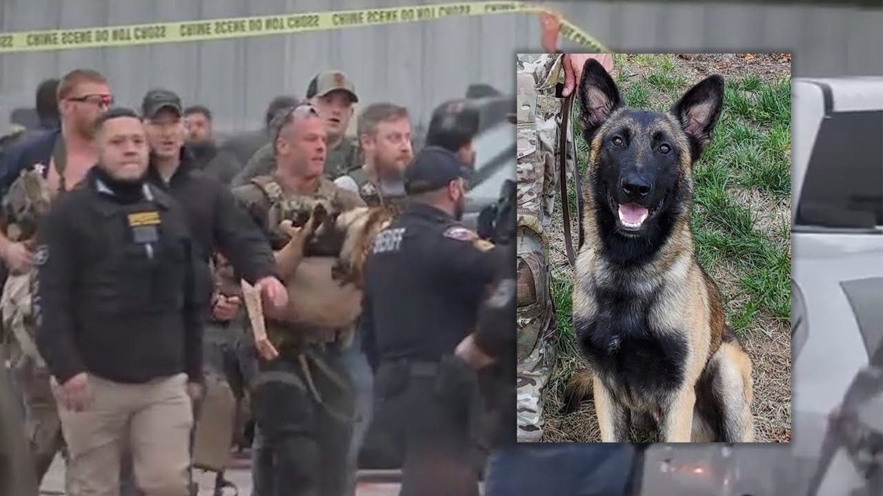 Federal K-9 officer hospitalized after being shot by suspect accused of killing Brazoria Co