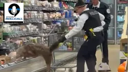 678a995f009201280aa96517 The Lineup Chicago Police Coyote 678a995f009201280aa96517 The Lineup Chicago Police Coyote