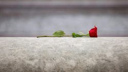 679004dd57fa5a6168605169 53756414893 2c20ec3f46 O 679004dd57fa5a6168605169 53756414893 2c20ec3f46 O