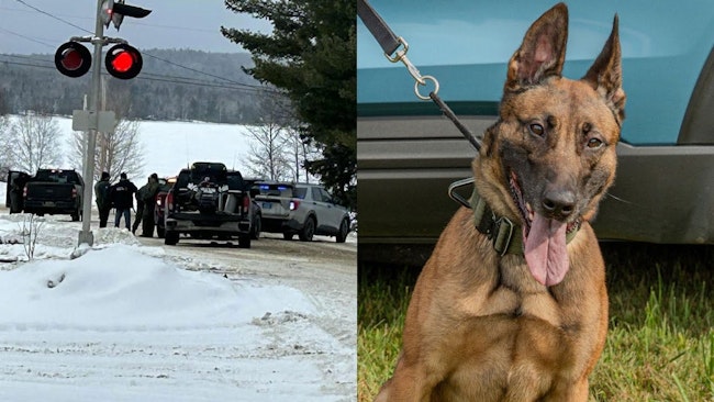 During A Standoff In Porter Lake That Lasted Several Hours, A Man With Opened Fire Several Times At Law Enforcement, Wounding An Aroostock County Sheriff's Deputy And Fatally Shooting A Maine State Police K 9