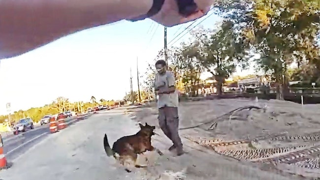 Body Camera Footage Captured Volusia County Sheriff's Deputies Pursuing A Wanted Man Who Rammed Into Two Cruisers And Other Vehicles In An Attempt To Escape