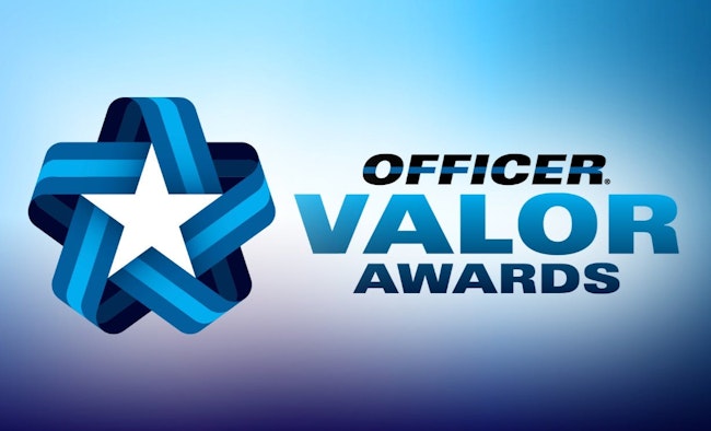 Cropped Valor Awards Logo