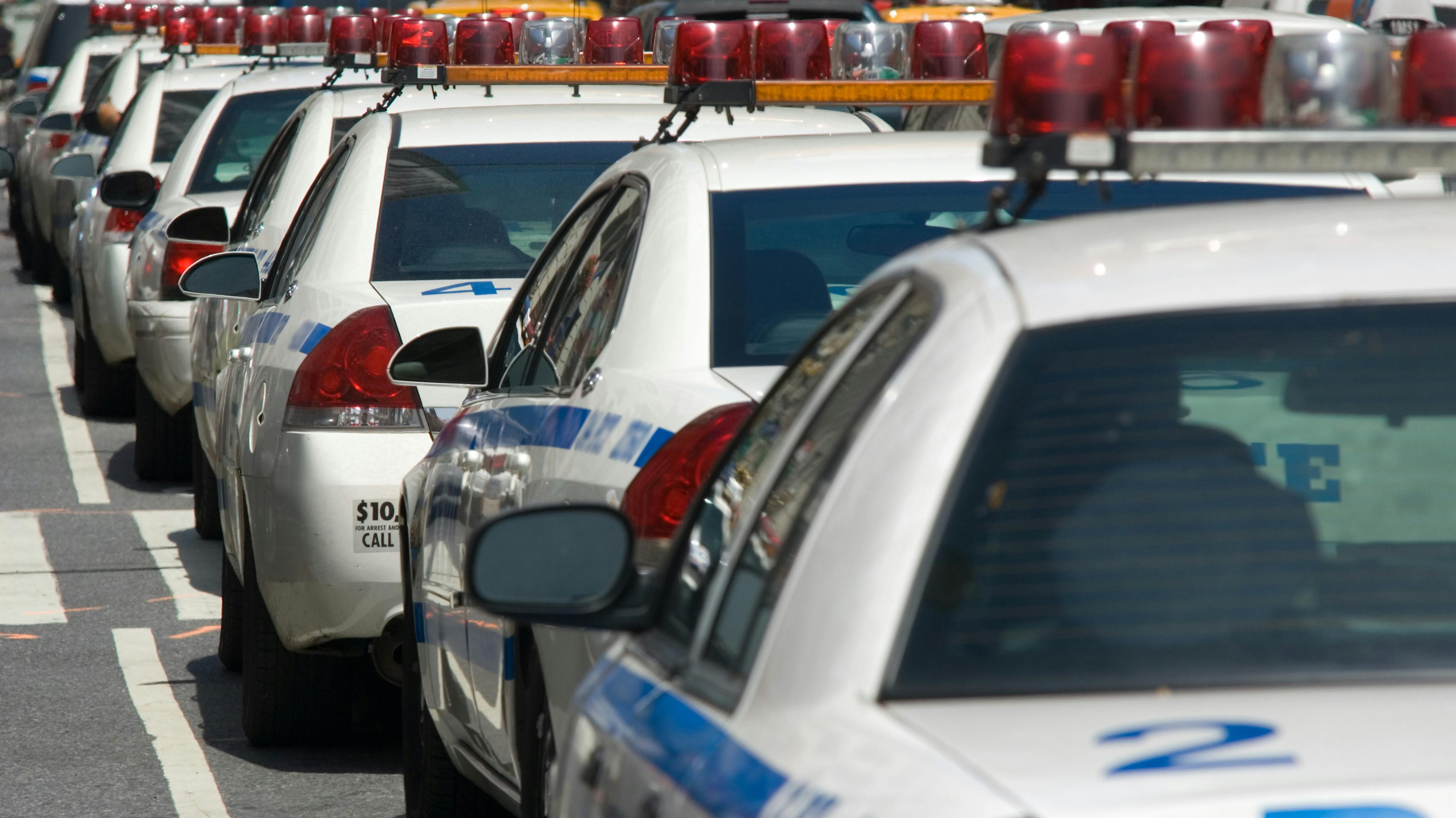 dreamstime_xxl_7139944