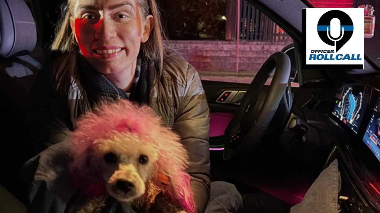 Garfield, NJ, police helped rescue a pink-dyed poodle that escaped from its home and swam across a frigid river to a small island.