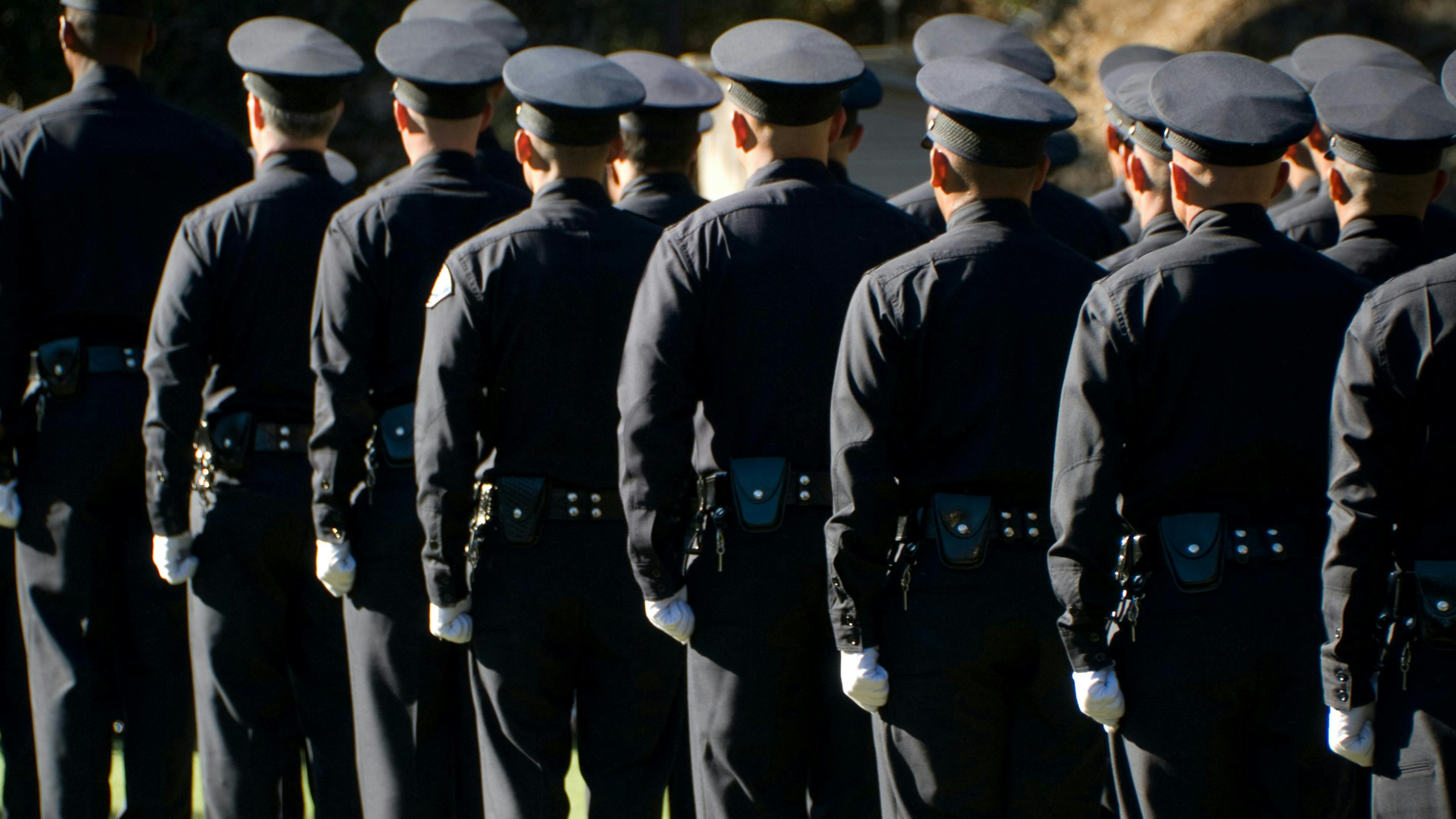 67e728d36db2bc9236e3df39 Dreamstime Xxl 7034506