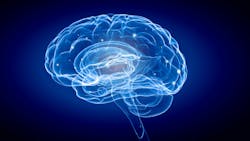 67eda1176f828825ea998251 Dreamstime 57817614 67eda1176f828825ea998251 Dreamstime 57817614