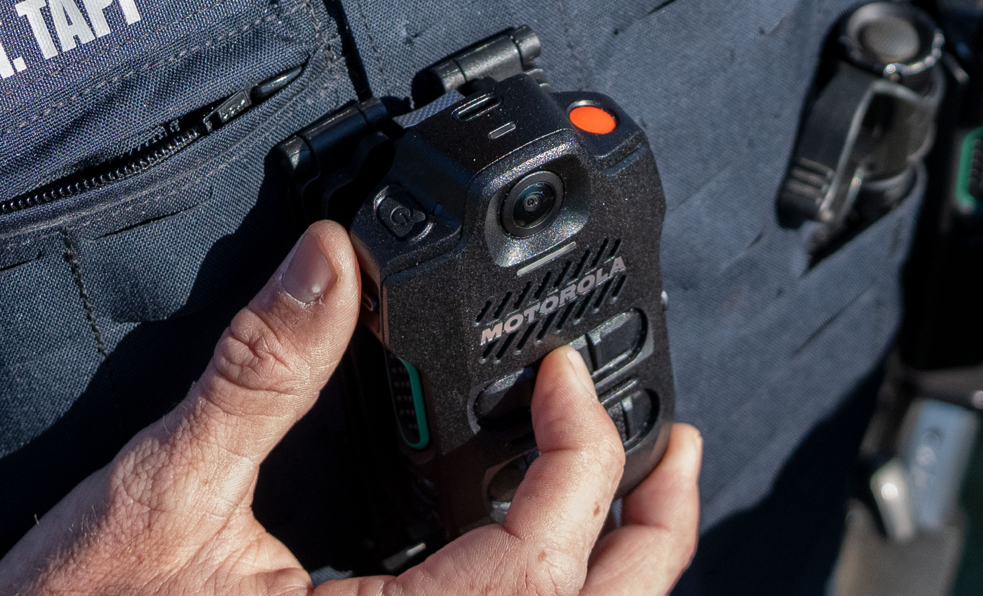 6806a3c69929323ebe6f5078 Svx