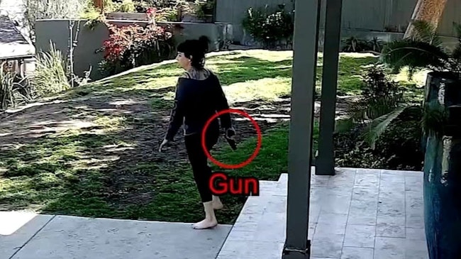 The Lapd Was Helping The California Highway Patrol In Tracking Down Hit And Run Suspects When They Encountered Jillian Lauren, And The Wife Of Weezer's Bass Player Allegedly Mistook Officers For Armed Suspects
