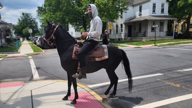A man on horseback helped Riverside Township, NJ, police Saturday by getting a partial license plate on a vehicle in a hit-and-run incident.