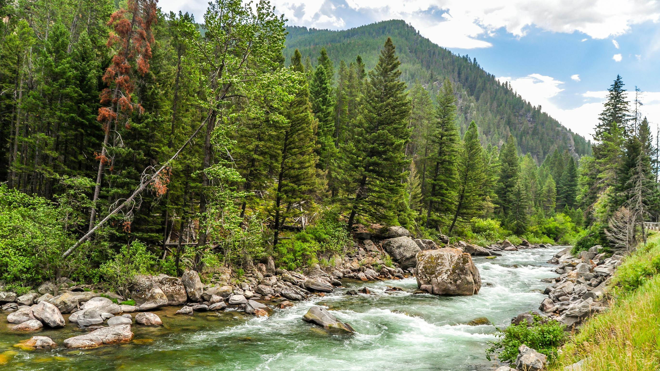 The Gallatin River Flowing Through the Mountains of Montana. The rapidly flowing water of the Gallatin River passes down from the mountains of Montana.