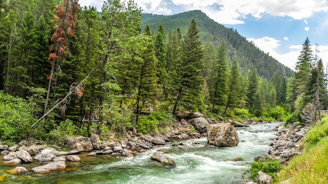 The Gallatin River Flowing Through the Mountains of Montana. The rapidly flowing water of the Gallatin River passes down from the mountains of Montana.