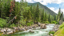 The Gallatin River Flowing Through the Mountains of Montana. The rapidly flowing water of the Gallatin River passes down from the mountains of Montana. The Gallatin River Flowing Through the Mountains of Montana. The rapidly flowing water of the Gallatin River passes down from the mountains of Montana.