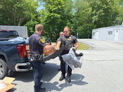 rtstacticalnewarticle3 rtstacticalnewarticle3