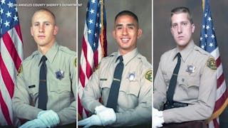 Los Angeles Police Department (LAPD) Sergeant Fatally Struck