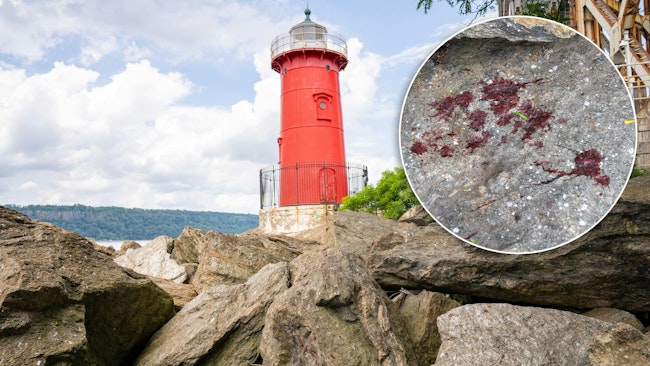 Blood is seen on the rocks near the Little Red Lighthouse after an off-duty Customs and Border Patrol Officer was shot in the face by a gunman in Fort Washington Park in Manhattan on July 19.