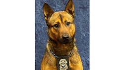 Shawnee, KS, Police K-9 Dagger. Shawnee, KS, Police K-9 Dagger.