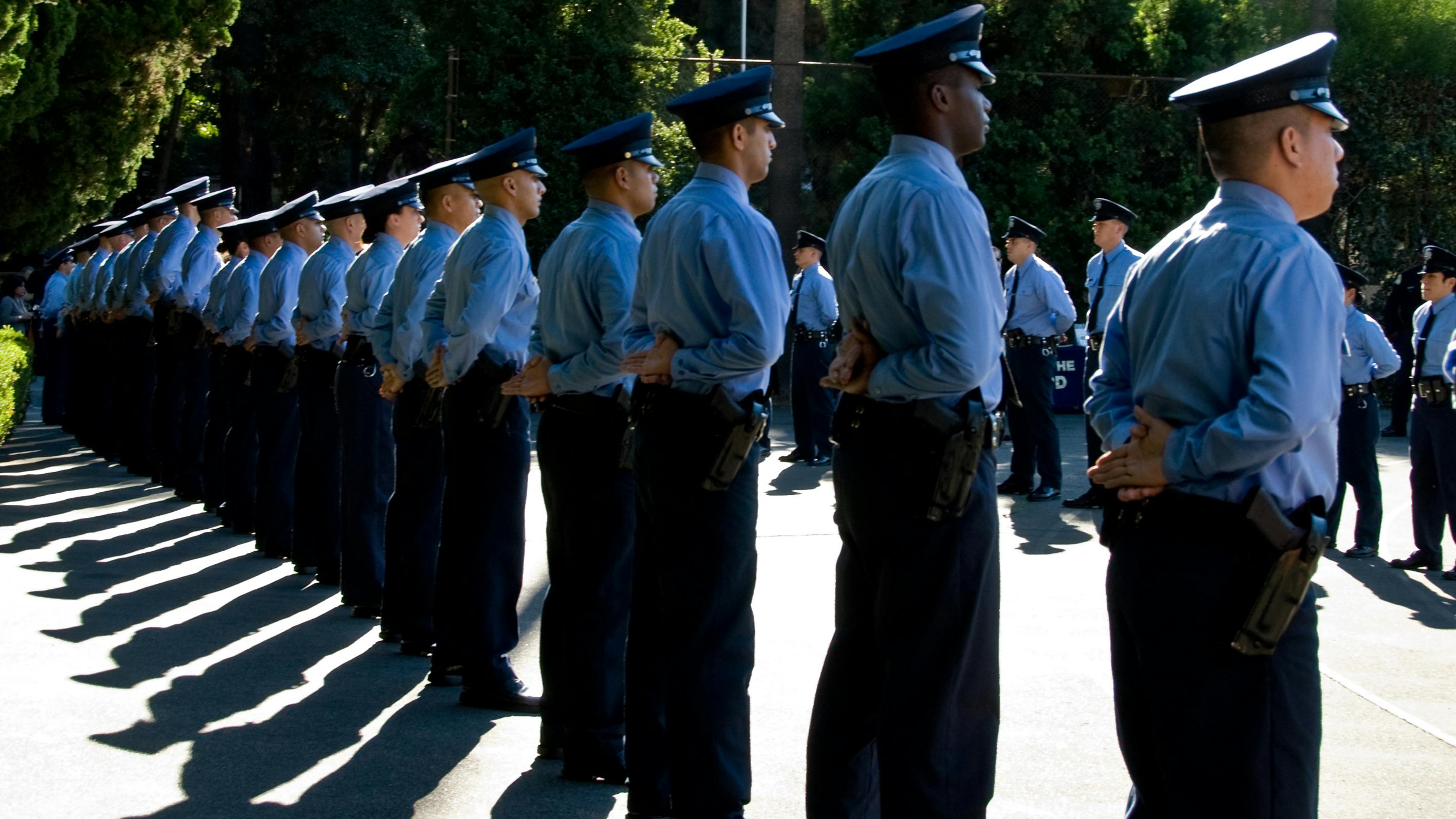 dreamstime_xxl_7033890