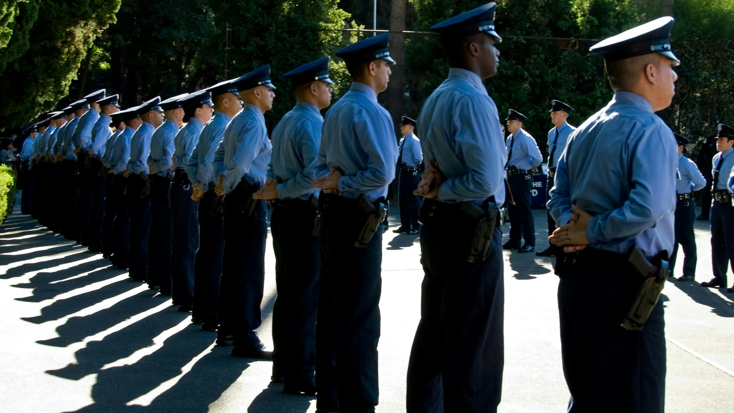 689ced7923477b3005c75a07 Dreamstime Xxl 7033890