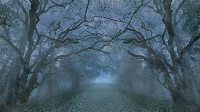 68af219cd567d14111c8ae91 Dreamstime Xxl 160299845