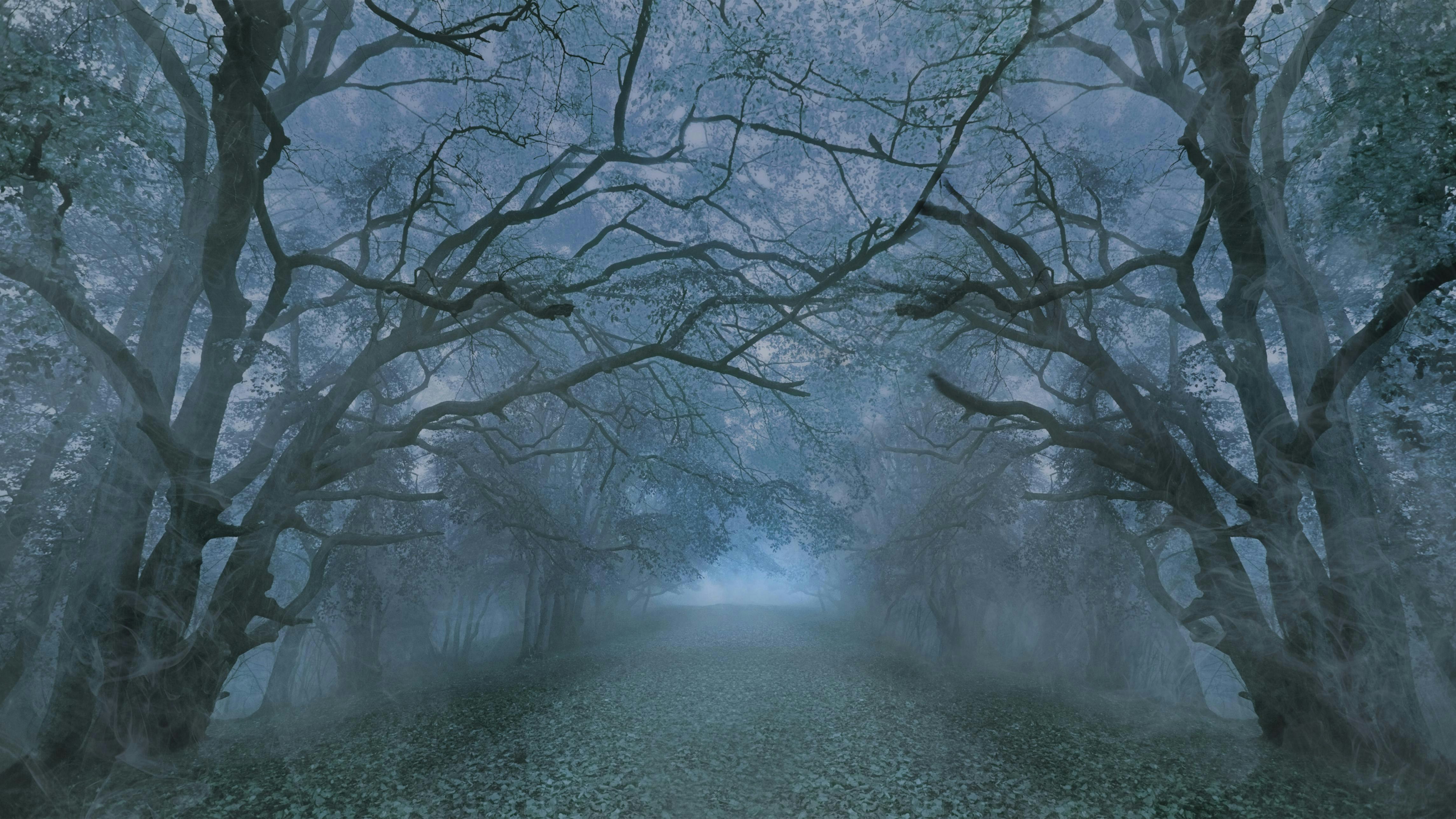 68af219cd567d14111c8ae91 Dreamstime Xxl 160299845