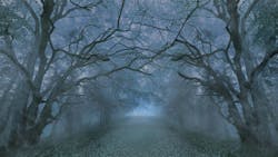 68af219cd567d14111c8ae91 Dreamstime Xxl 160299845 68af219cd567d14111c8ae91 Dreamstime Xxl 160299845