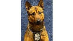 Shawnee, KS, Police Department K-9 Dagger. Shawnee, KS, Police Department K-9 Dagger.