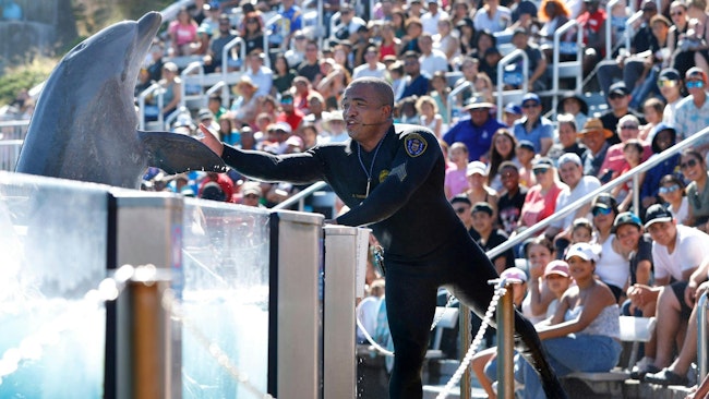SeaWorld dolphin trainer Andre Thomas high-fives a dolphin during a show in August in San Diego. Thomas also is a San Diego police sergeant who works at the park part time as a dolphin trainer.
