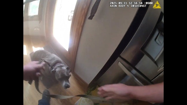 Aurora police saved 4-year-old American Staffordshire Terrier from a burning house, but not before the canine led an officer to a leash before being rescued.