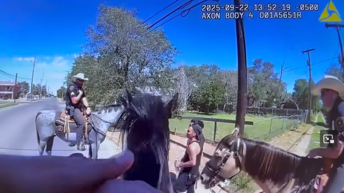 While helping colleagues during a stop Wednesday, a Lubbock police officer with the Mounted Patrol joked that he had a 'narcotics-smelling horse,' and that's when the suspect tried unsuccessfully to flee on foot.