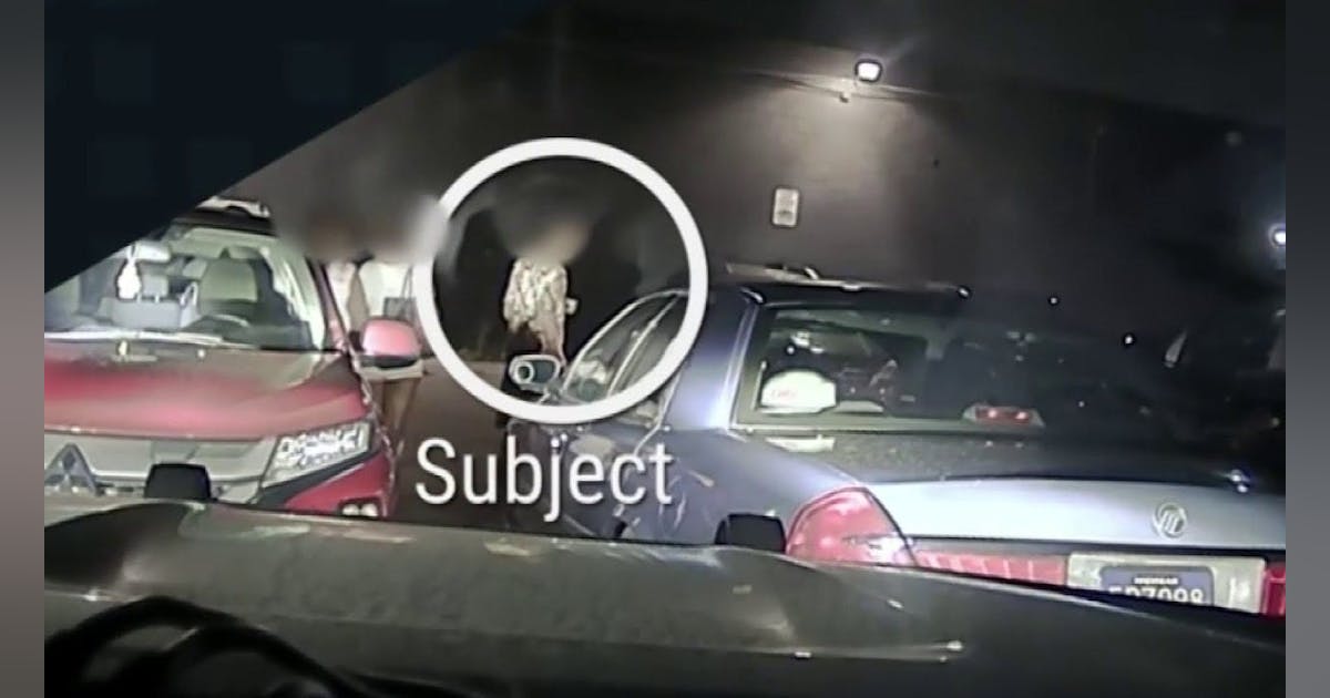 Bodycam: Detroit Police Stop Suspect who Raised Gun at Officers