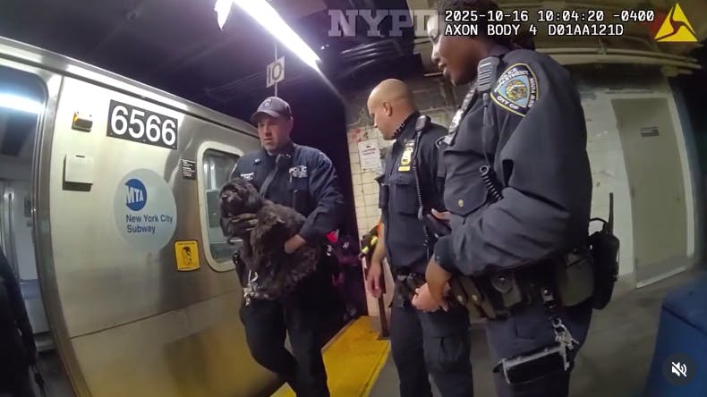 NYPD officers rescued a dog that was found curled up under a train on the tracks at a Manhattan subway station after running away from a boarding facility during morning rush hour Thursday.