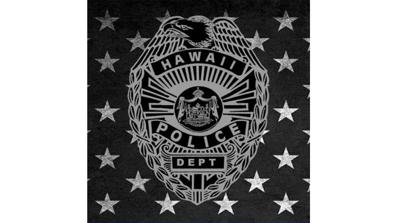 A Hawaii police officer suffered head injuries and rib fractures after she was struck by an SUV while she was helping a motorist with a stalled vehicle in Hilo.