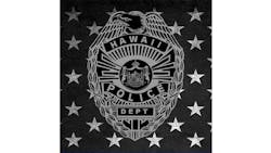 A Hawaii police officer suffered head injuries and rib fractures after she was struck by an SUV while she was helping a motorist with a stalled vehicle in Hilo. A Hawaii police officer suffered head injuries and rib fractures after she was struck by an SUV while she was helping a motorist with a stalled vehicle in Hilo.