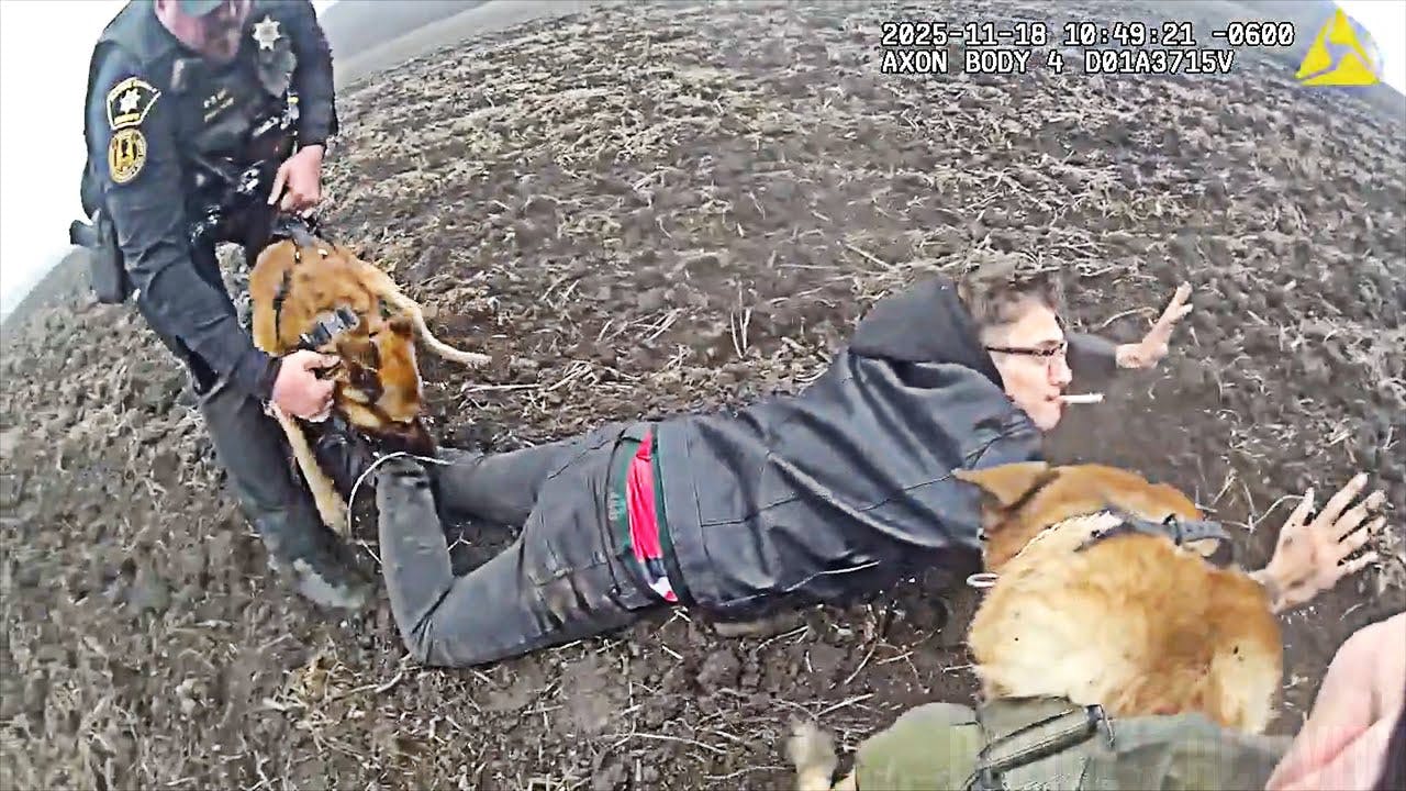 Two Racine County, Wisconsin, Sheriff's Office K-9s help apprehend a 29-year-old man wanted in an early shooting in Trevor after leading deputies on a high speed chase that ended in a muddy field across from a correctional center.
