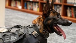 Burbank, CA, Police K-9 Spike. Burbank, CA, Police K-9 Spike.