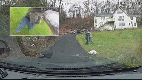 A New York man punched and tried to put a Newton, CT, police officer in a chokehold when the officer tried to detain the suspect during a 'physical dispute' call Saturday.