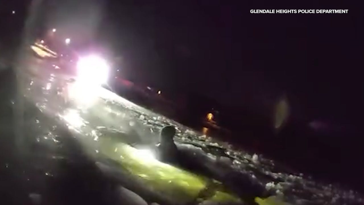 Glendale Heights, IL, police saved three people whose vehicle crashed into an icy pond Sunday.