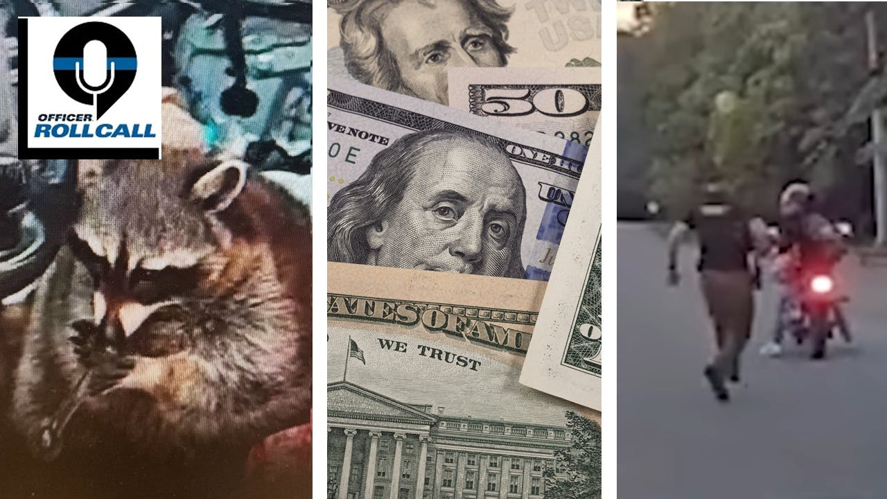 Springfield Township, OH, police discover a raccoon holding a meth pipe during a traffic stop (left), and a Peoria County, IL, sheriff's deputy apprehended a suspect on a stolen motorcycle (right) when the bike ran out of gas.