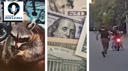 Springfield Township, OH, police discover a raccoon holding a meth pipe during a traffic stop (left), and a Peoria County, IL, sheriff's deputy apprehended a suspect on a stolen motorcycle (right) when the bike ran out of gas. Springfield Township, OH, police discover a raccoon holding a meth pipe during a traffic stop (left), and a Peoria County, IL, sheriff's deputy apprehended a suspect on a stolen motorcycle (right) when the bike ran out of gas.