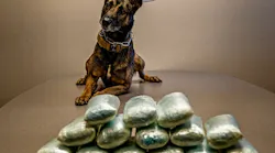 A Coconino County Sheriff’s Office K-9 unit deputy seized more than 17 pounds of suspected fentanyl during a traffic stop on Interstate 17 earlier this month.