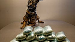 A Coconino County Sheriff’s Office K-9 unit deputy seized more than 17 pounds of suspected fentanyl during a traffic stop on Interstate 17 earlier this month. A Coconino County Sheriff’s Office K-9 unit deputy seized more than 17 pounds of suspected fentanyl during a traffic stop on Interstate 17 earlier this month.