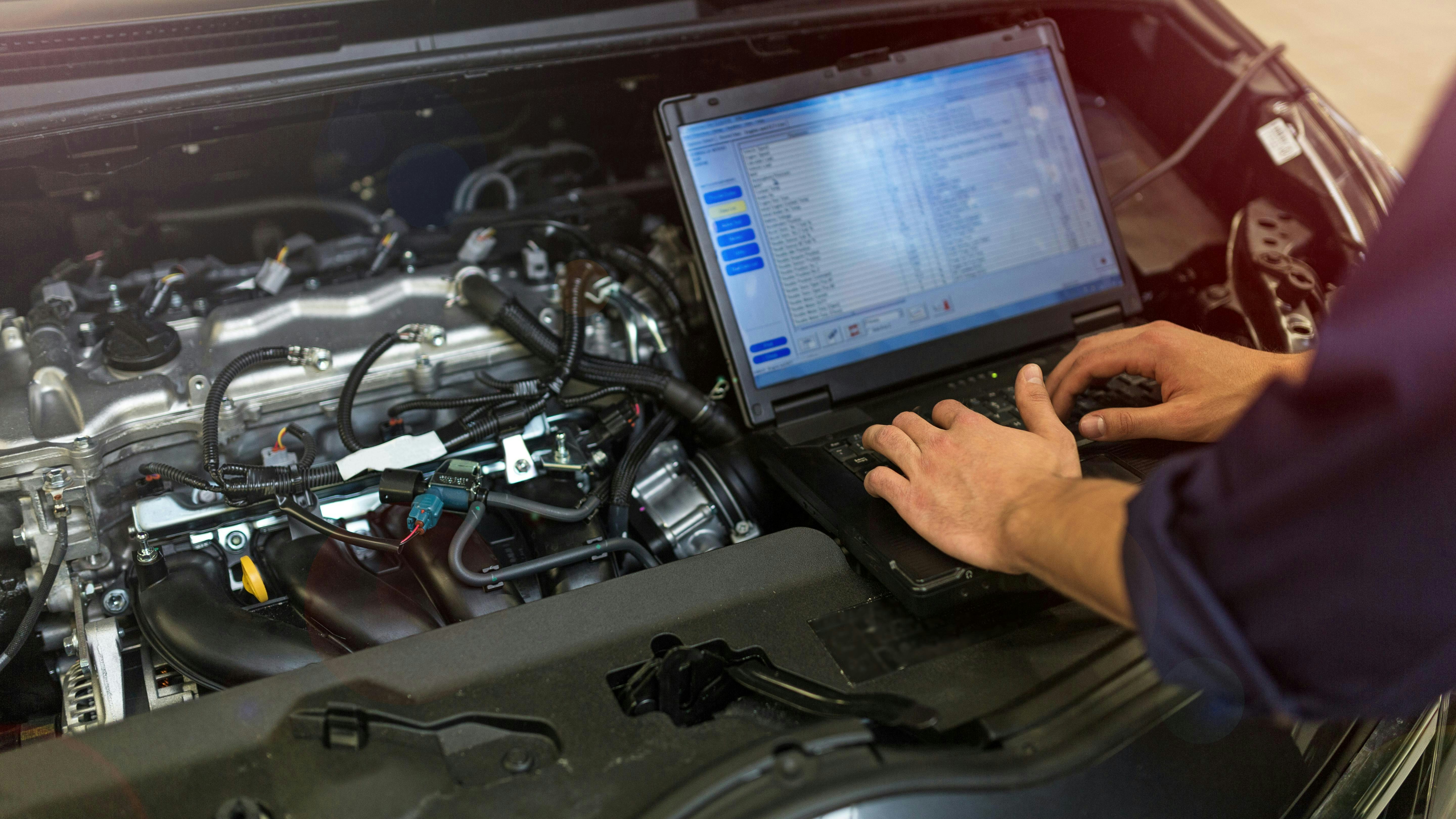 696eb1b340f0ea3beab5ed73 Dreamstime Xxl 105779868