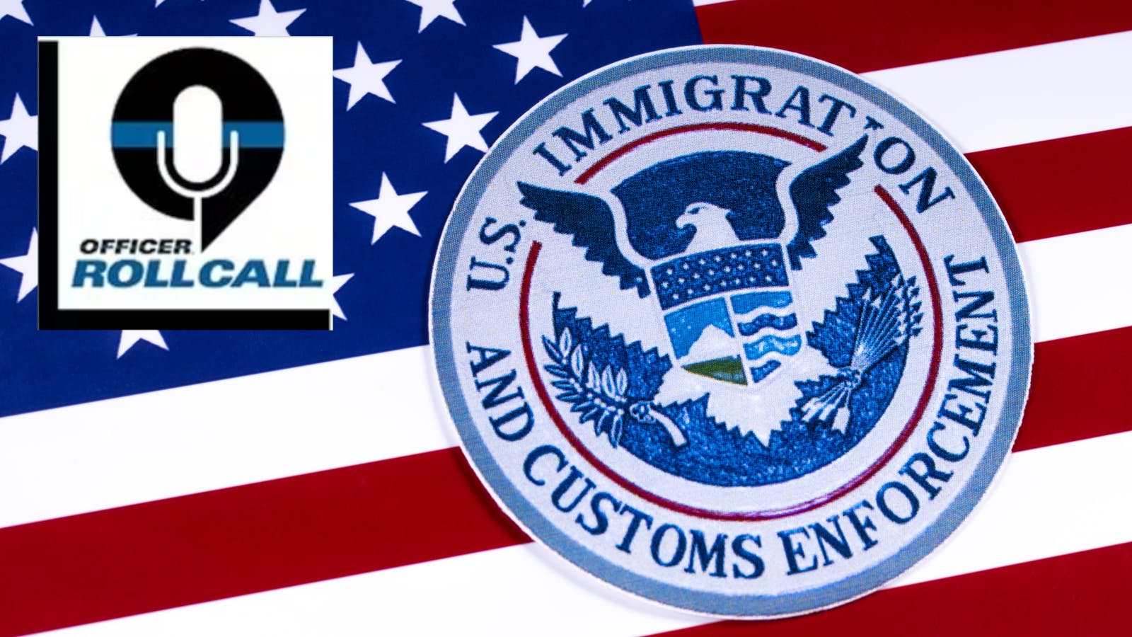 dreamstime_xxl_113156652