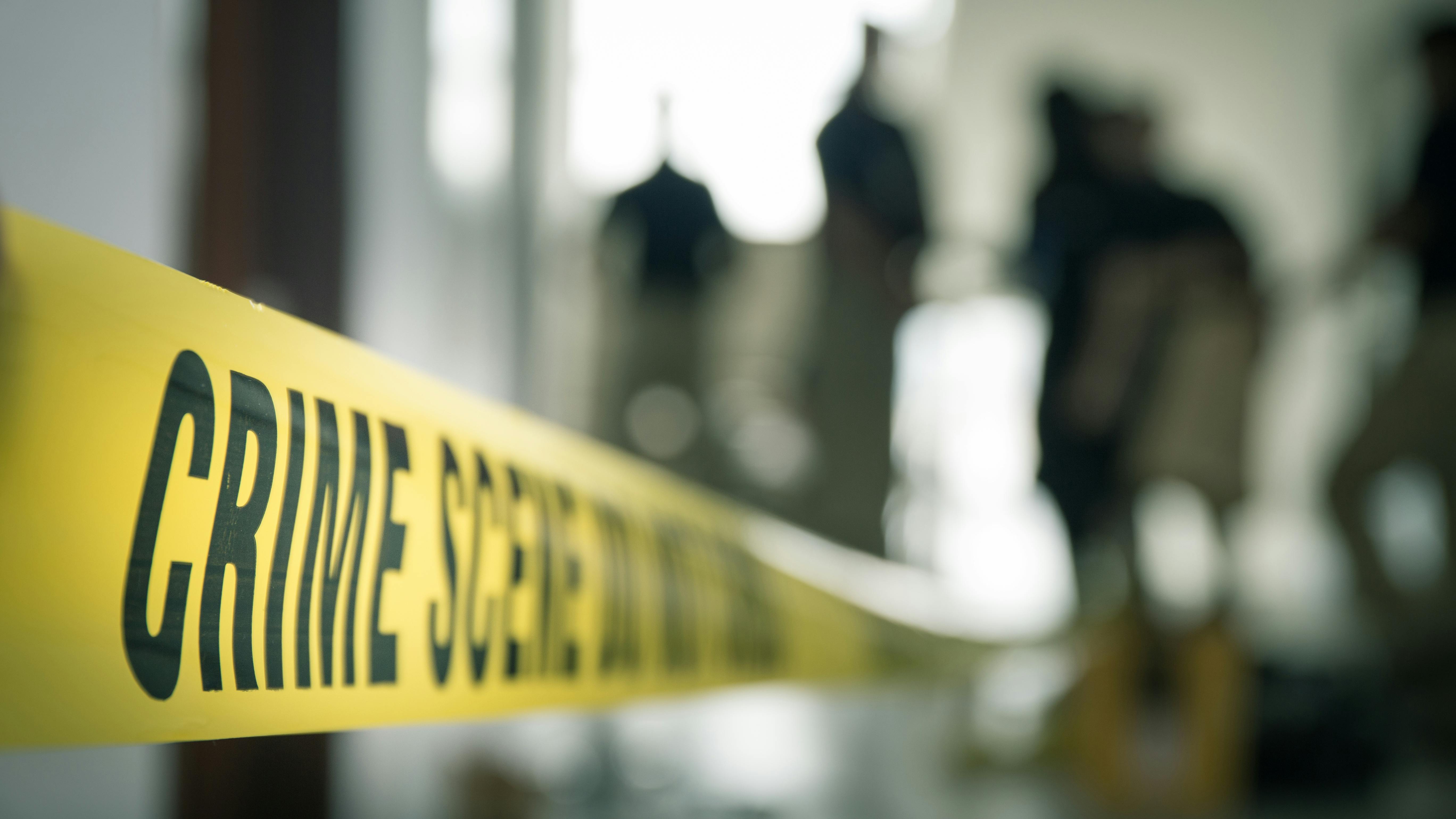 dreamstime_xxl_87840058