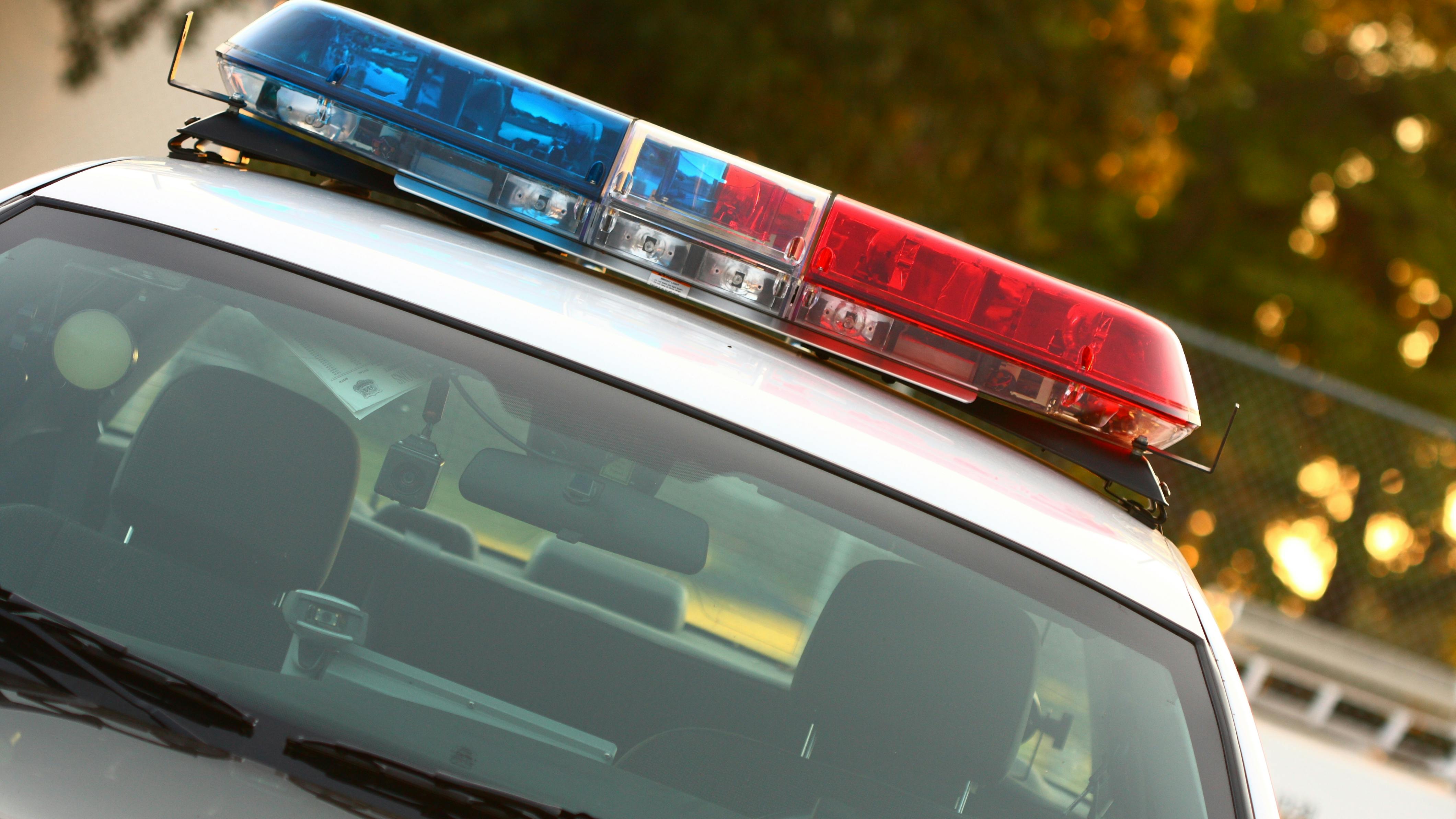 Suspect in domestic violence incident steals Wauwatosa, WI, police cruiser.