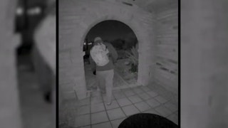 officer.com - Nancy Guthrie Kidnapping: Why Video Could Be 'Significant' Game-Changer for Investigation